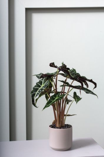 Kendall Pot, Grey, 3 Sizes