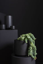 Kendall Pot, Black