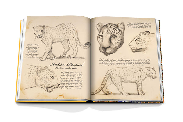Arabian Leopard (Classic)