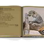 Arabian Leopard (Classic)