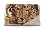 Arabian Leopard (Classic)