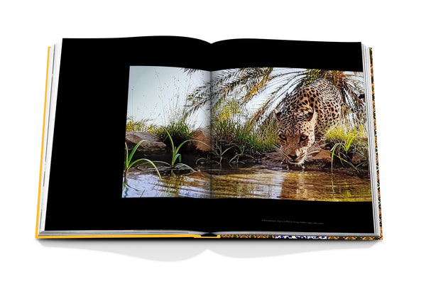 Arabian Leopard (Classic)
