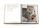 Arabian Leopard (Classic)