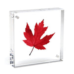 Square Magnet Frame, 3 Sizes