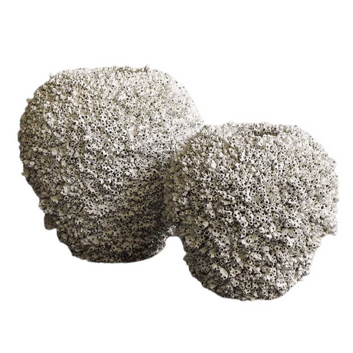 Barnacle No Rim, 2 Sizes