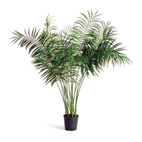 Palm Tree Potted 76"