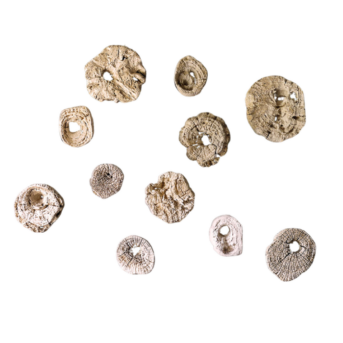 Exposed Grain Log Ends, Large