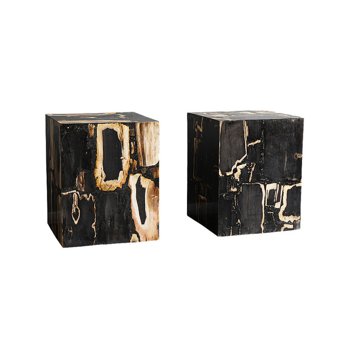 Medda Petrified Wood Side Table