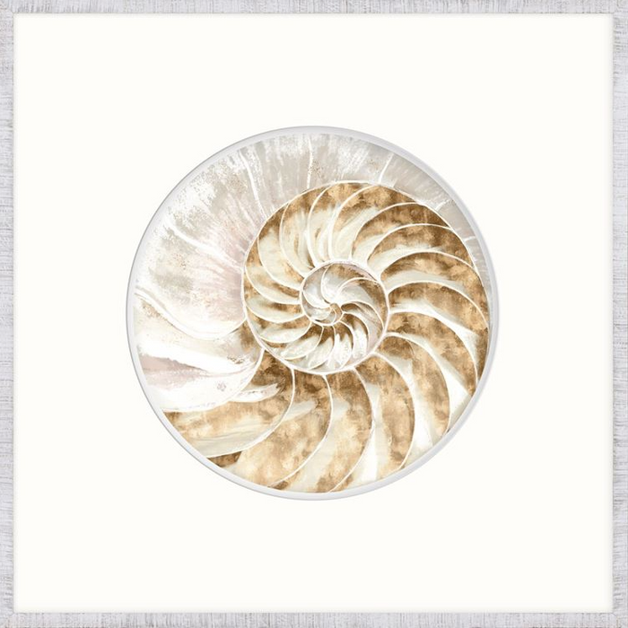 Nautilus IV, 21 x 21