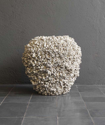 Barnacle No Rim, 2 Sizes
