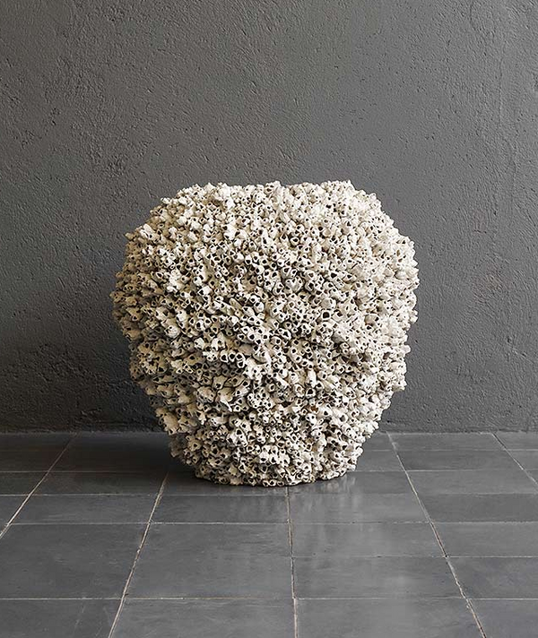 Barnacle No Rim, 2 Sizes
