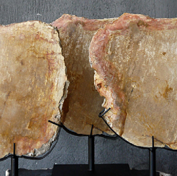 Petrified Wood Slab on Stand