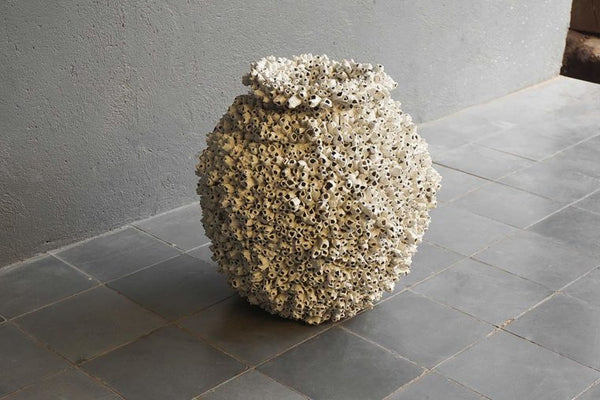 Barnacle Urn