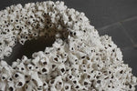Barnacle Urn