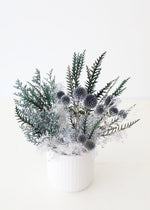 Preserved Cymodocea Serrulata Sea Grass Bundle, 24-29"