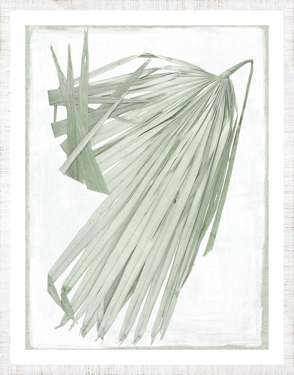 Palm Pressings III - Biscay, 29" x 37"