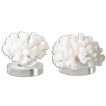 Hard Coral Sculpture, S/2