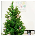 Holiday Trio-Magnet Frame Ornaments