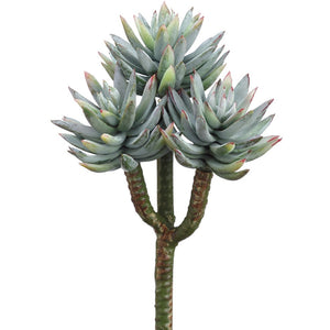 Mini Agave X3, Frosted Green - 8"
