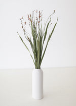 Dried Renanthera Orchid Grass with Orange Buds, 22-28"