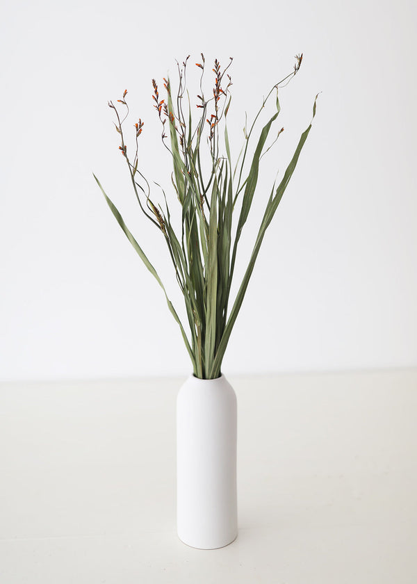 Dried Renanthera Orchid Grass with Orange Buds, 22-28"