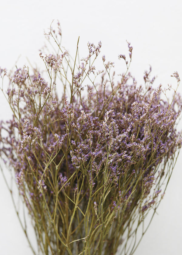 Natural Dried German Statice Flowers, 18-24"