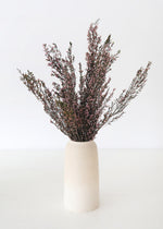 Naturally Preserved Heather Flowers in Pink, 15-20"