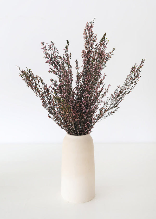 Naturally Preserved Heather Flowers in Pink, 15-20"