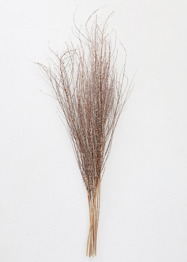 Dried Hoary Willow Branch Bundle, 20-30"