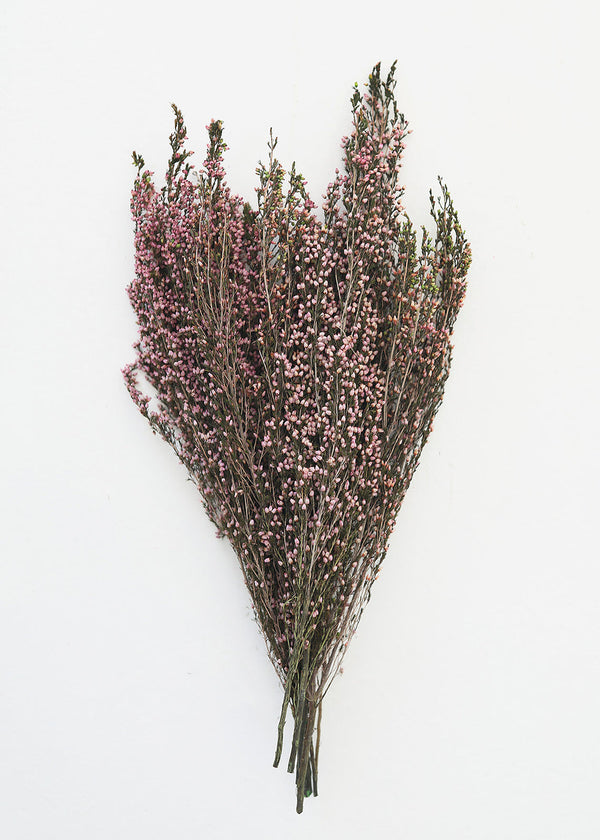 Naturally Preserved Heather Flowers in Pink, 15-20"
