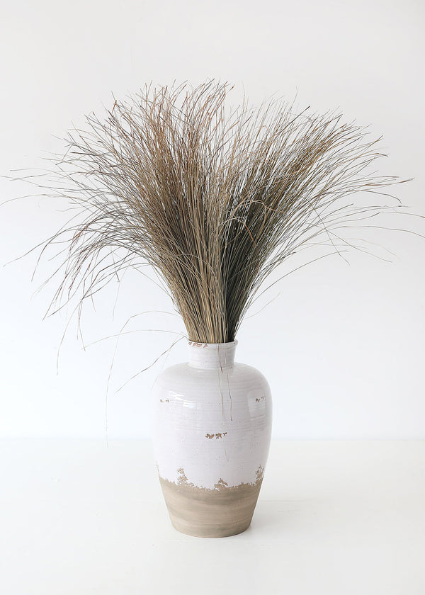 Preserved Green Dune Grass Bundle, 36"