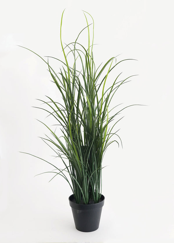 Tall Grass in Pot, Green - 36" (UV Protected)