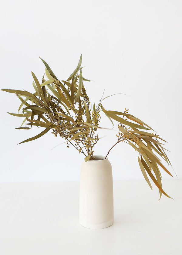 Olive and Tan Colored Preserved Seeded Eucalyptus Bundle, 18-28"