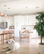 Ava Dining Chair, Blush Leather w/ Natural Teak Wood