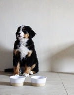Farm Dog Bowl, 3 Sizes