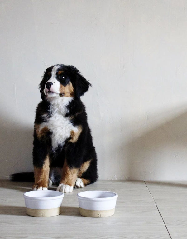 Farm Dog Bowl, 3 Sizes