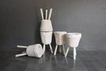Sulawesi Planter, Weathered Finish