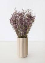 Natural Dried German Statice Flowers, 18-24"