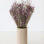 Natural Dried German Statice Flowers, 18-24"