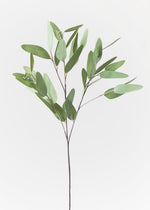 Faux Real Touch Eucalyptus Branch, 31"