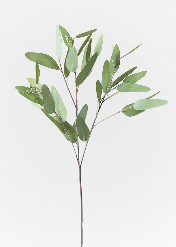 Faux Real Touch Eucalyptus Branch, 31"