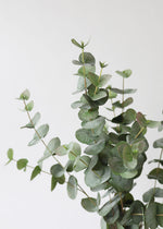 Green Grey Artificial Spiral Eucalyptus Branch, 40"