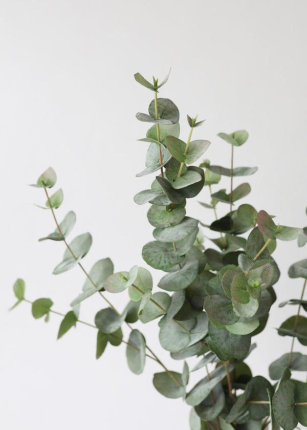 Green Grey Artificial Spiral Eucalyptus Branch, 40"
