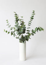 Green Grey Artificial Spiral Eucalyptus Branch, 40"
