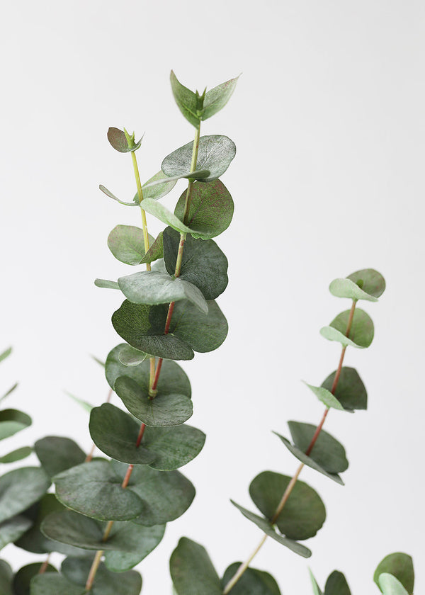 Green Grey Artificial Spiral Eucalyptus Branch, 40"