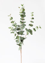 Green Grey Artificial Spiral Eucalyptus Branch, 40"