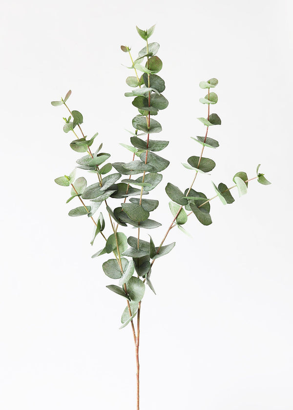 Green Grey Artificial Spiral Eucalyptus Branch, 40"