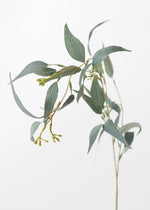 Artificial Seeded Eucalyptus Leaves, 23"