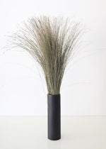 Preserved Green Dune Grass Bundle, 36"