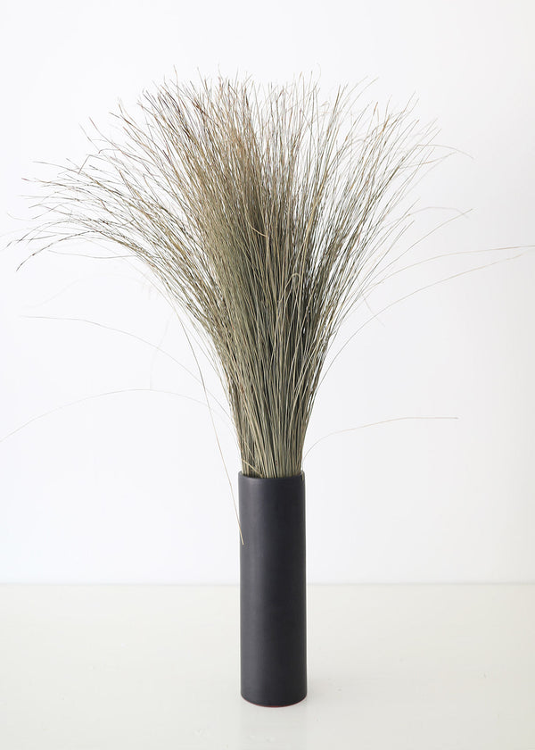 Preserved Green Dune Grass Bundle, 36"
